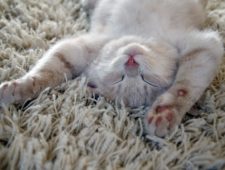 Atelier SE RELAXER// au Régio le 01.12.18 Atelier SE RELAXER// au Régio le 01.12.18