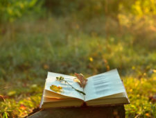 Livre d’Or Livre d’Or