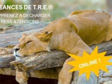 Prochaines pratiques TRE en groupe Online Prochaines pratiques TRE en groupe Online